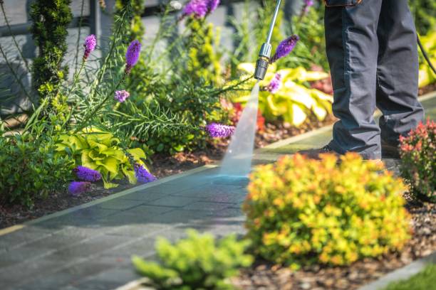 Best Pool Deck Cleaning  in Walnut Cove, NC